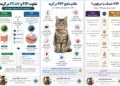 دکتر-محمد-فلاح-FIP-در-گربه-چیست؟
