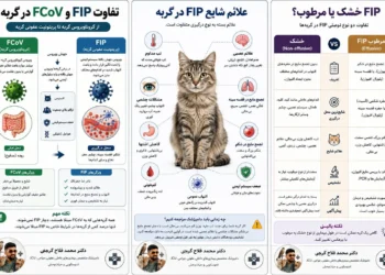 دکتر-محمد-فلاح-FIP-در-گربه-چیست؟